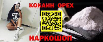 гашик Тара