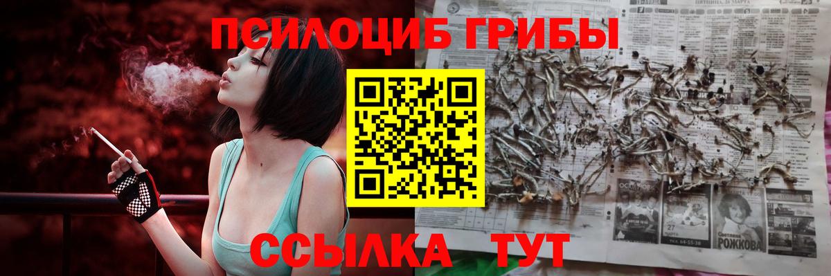 Галлюциногенные грибы Psilocybe  Галлюциногенные грибы прущие грибы  Вход с VPN  Новошахтинск 